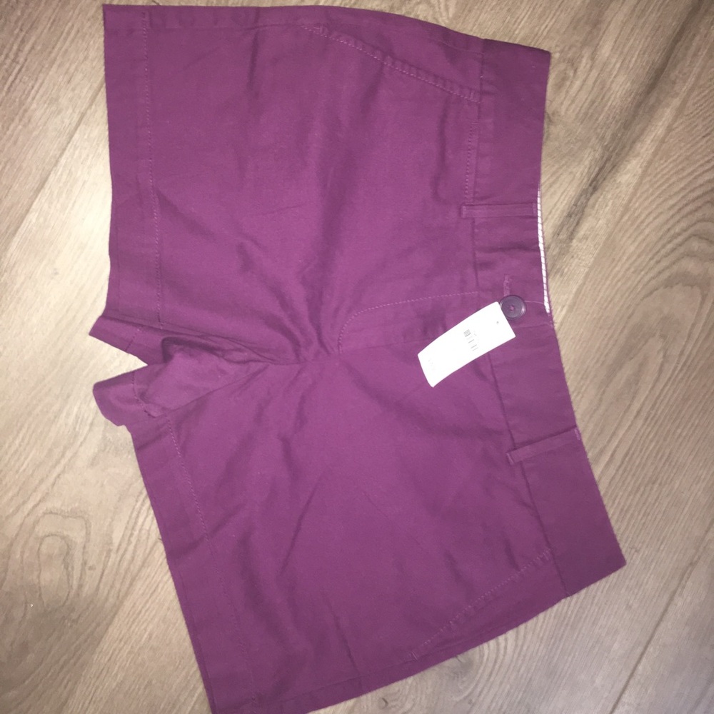 Ann Taylor Loft Shorts